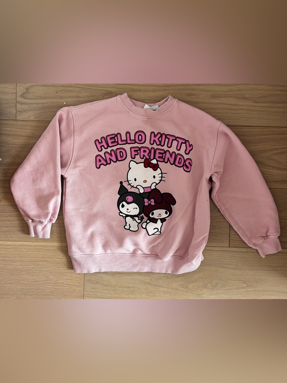Zara Sanrio Pink Hello Kitty & Friends Crewneck Sweatshirt